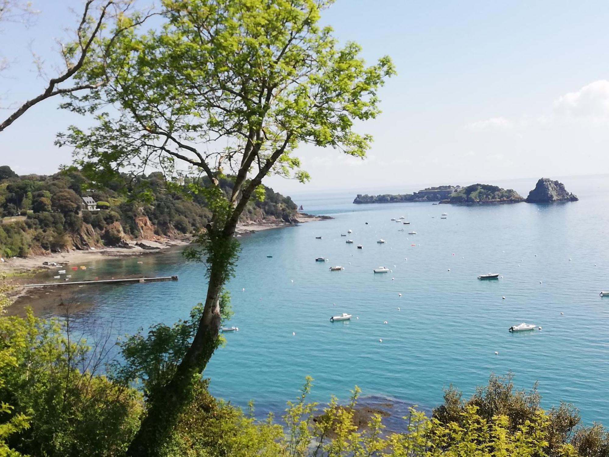 圣米歇尔山繁花住宿加早餐旅馆 圣马洛 外观 照片